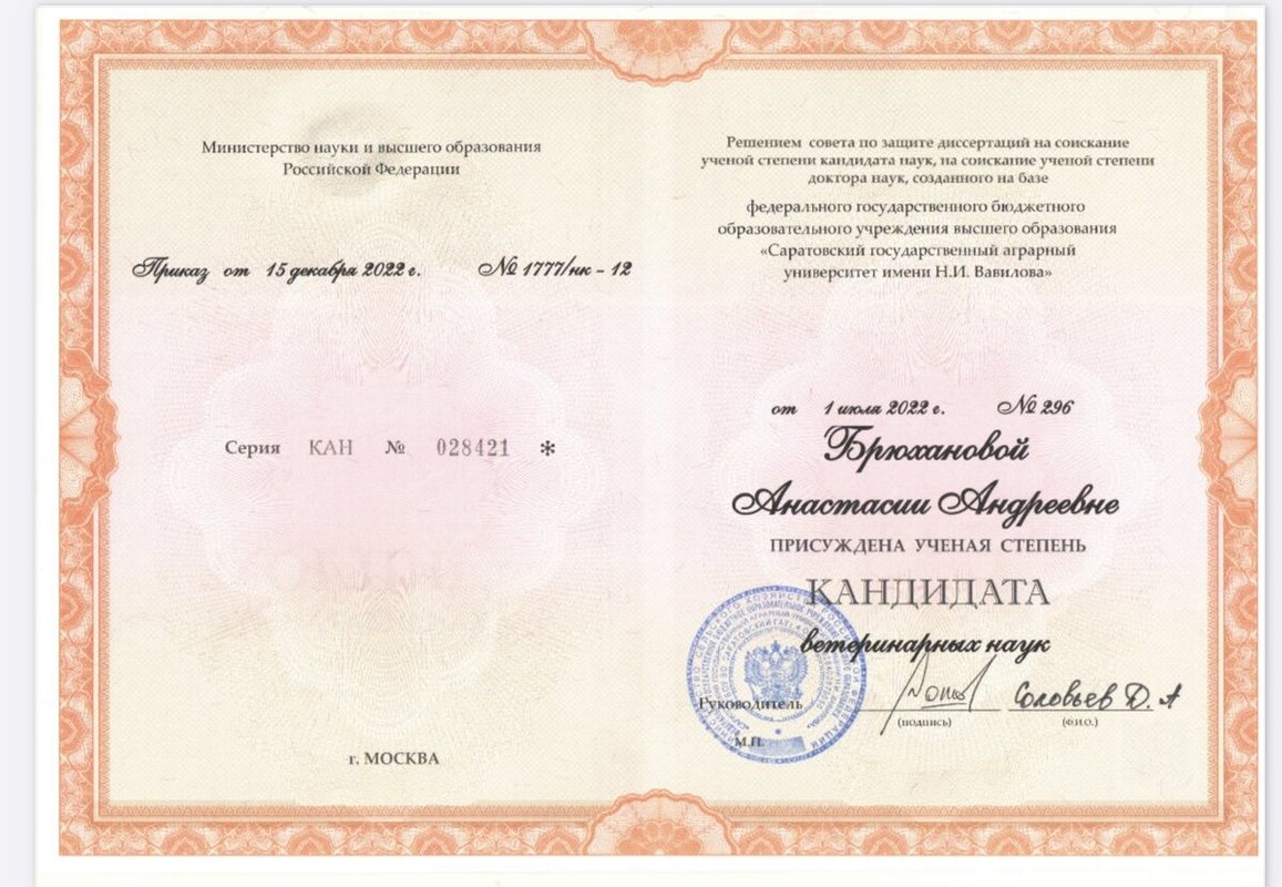 Документ или сертификат