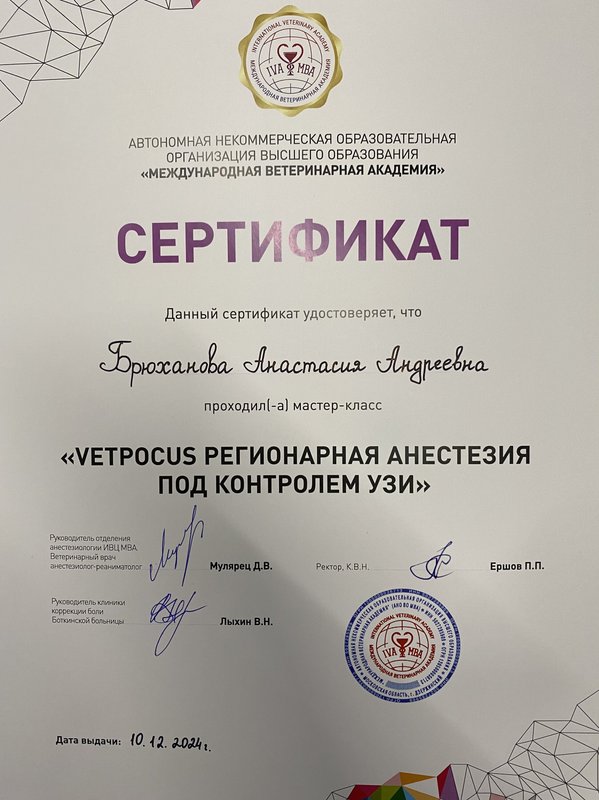 Документ или сертификат