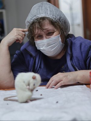Фото врача Бушарова Елена Владимировна
