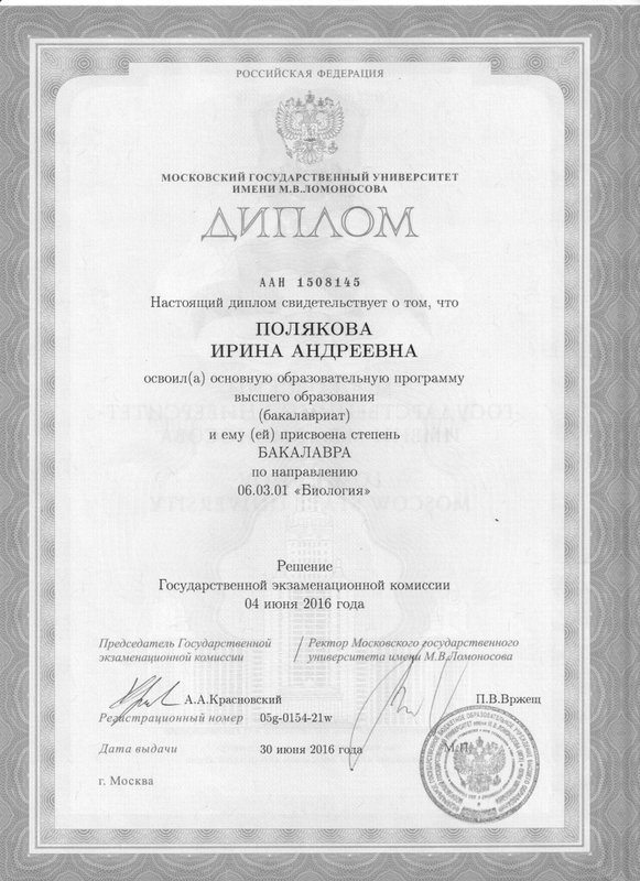 Документ или сертификат