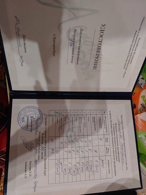 Документ или сертификат