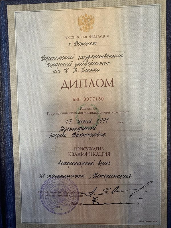 Документ или сертификат