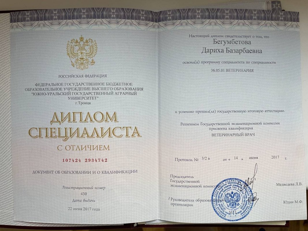 Документ или сертификат