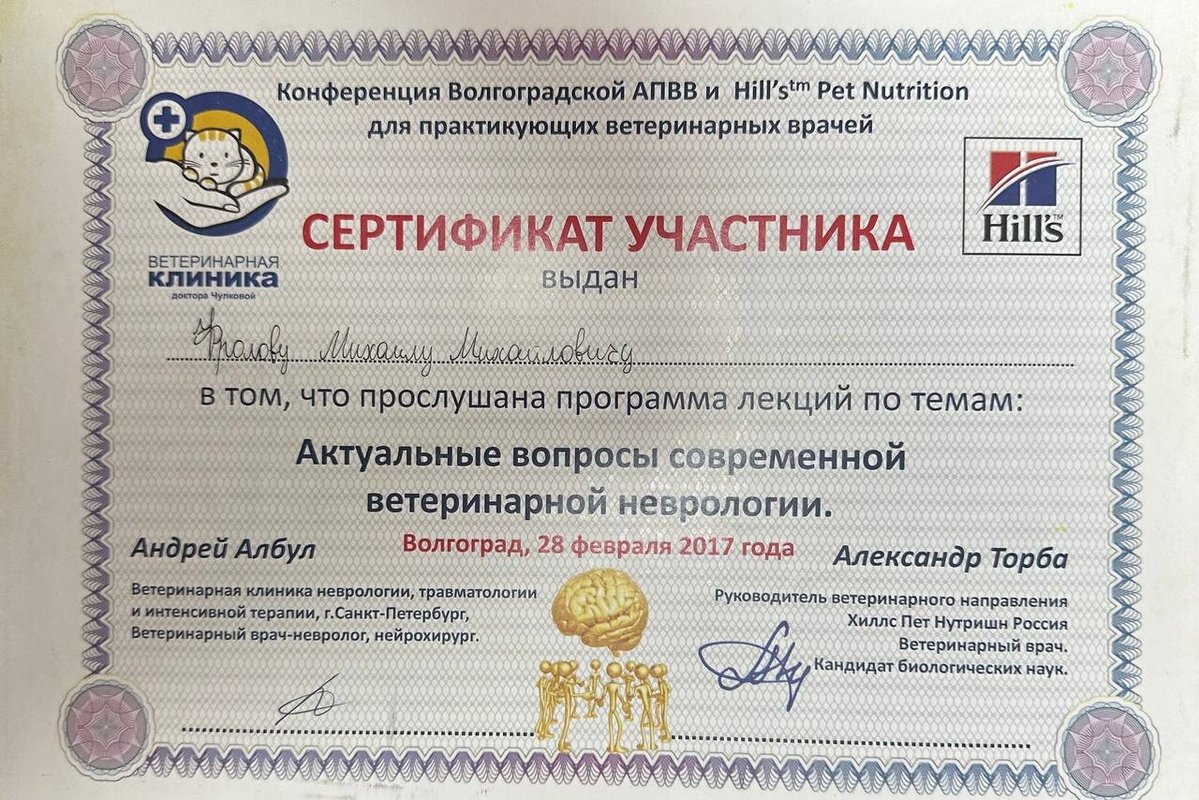 Документ или сертификат