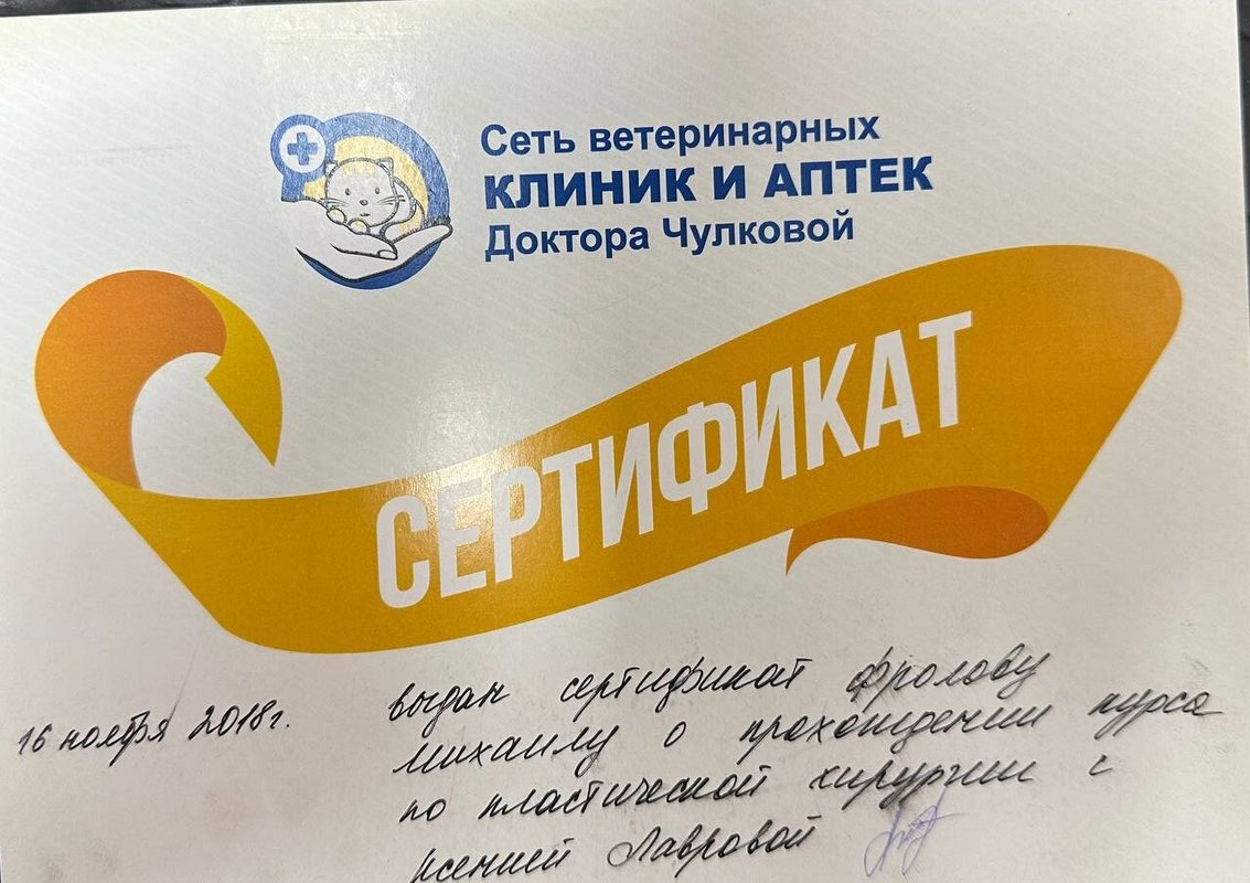 Документ или сертификат