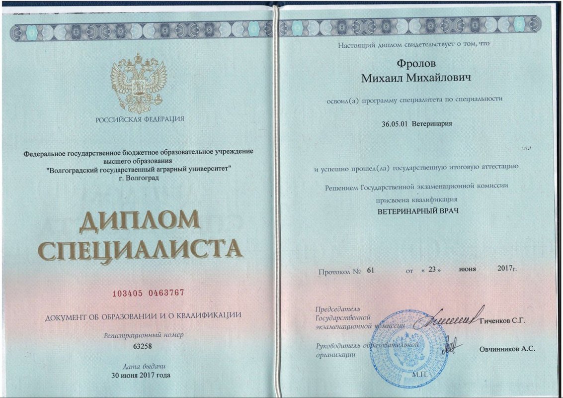 Документ или сертификат