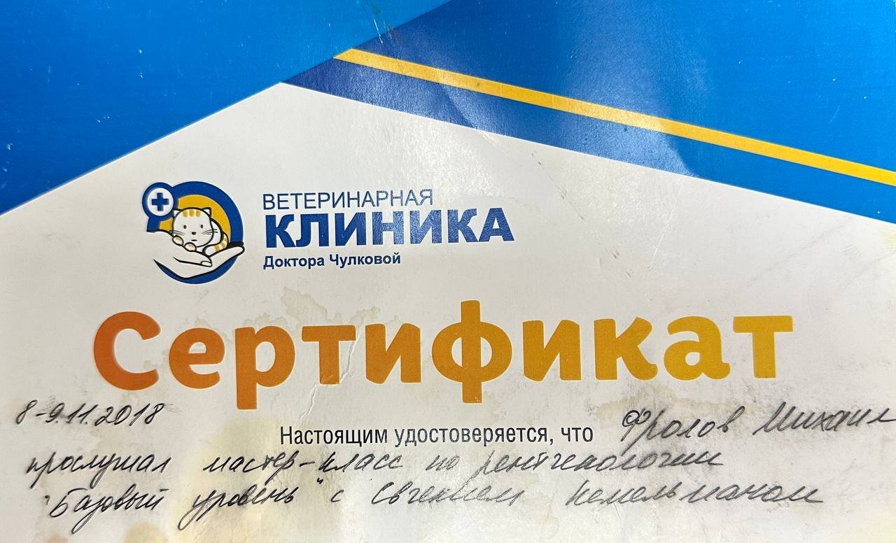 Документ или сертификат