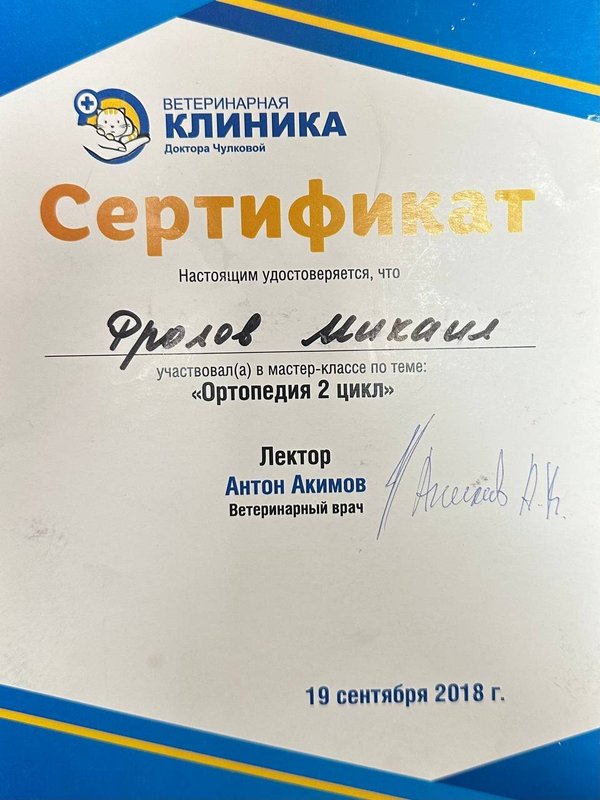 Документ или сертификат