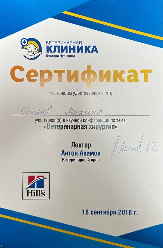 Документ или сертификат
