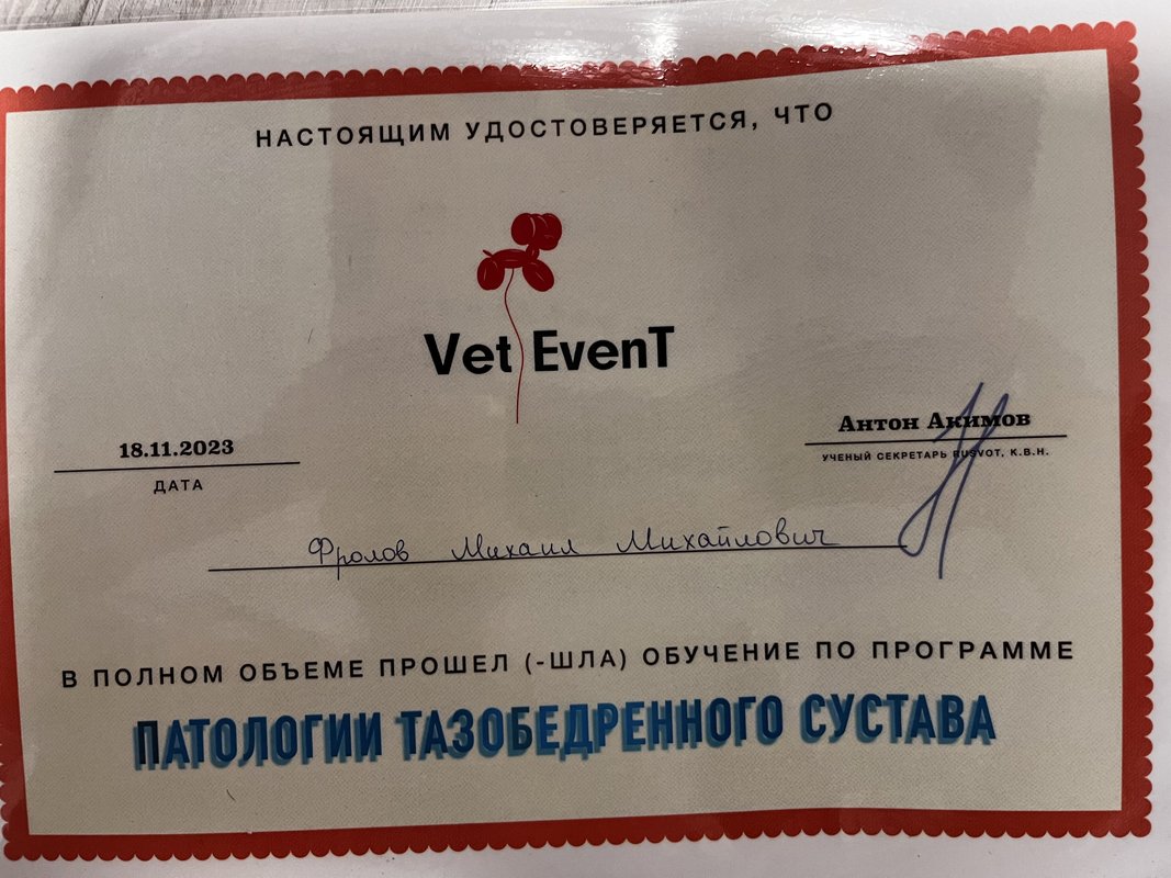 Документ или сертификат