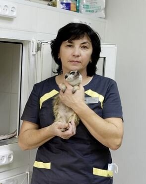 Фото врача Андрианова Марина Викторовна