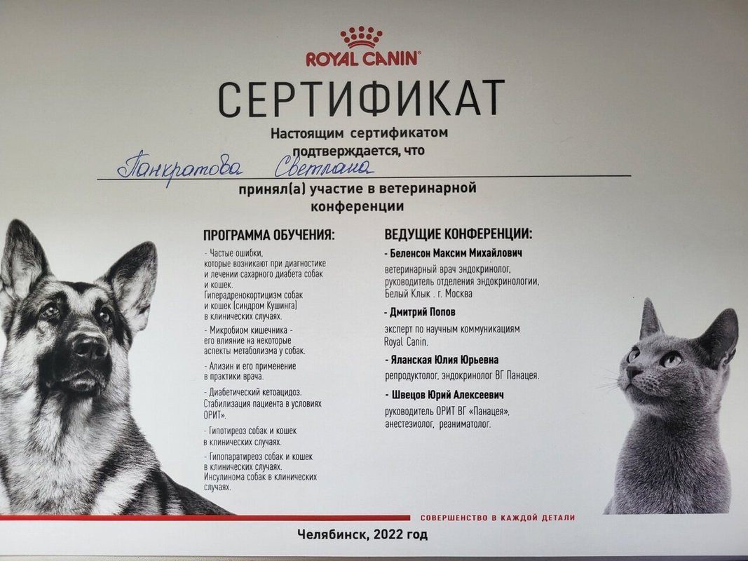 Документ или сертификат