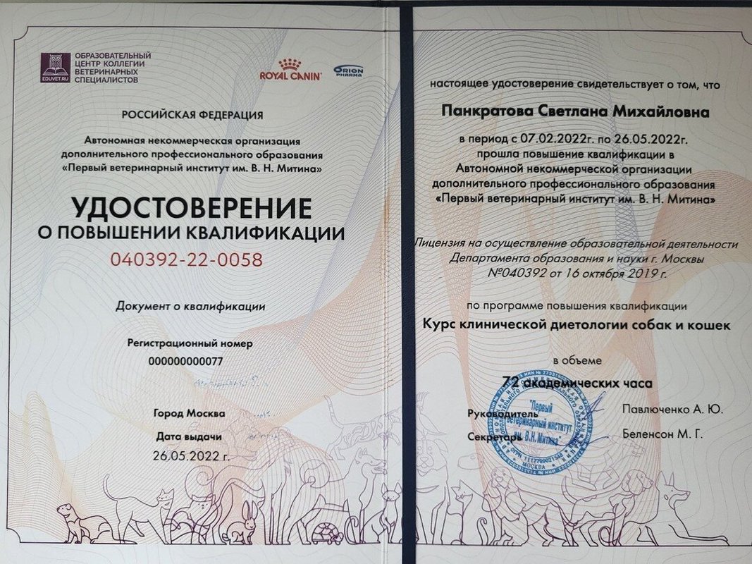 Документ или сертификат