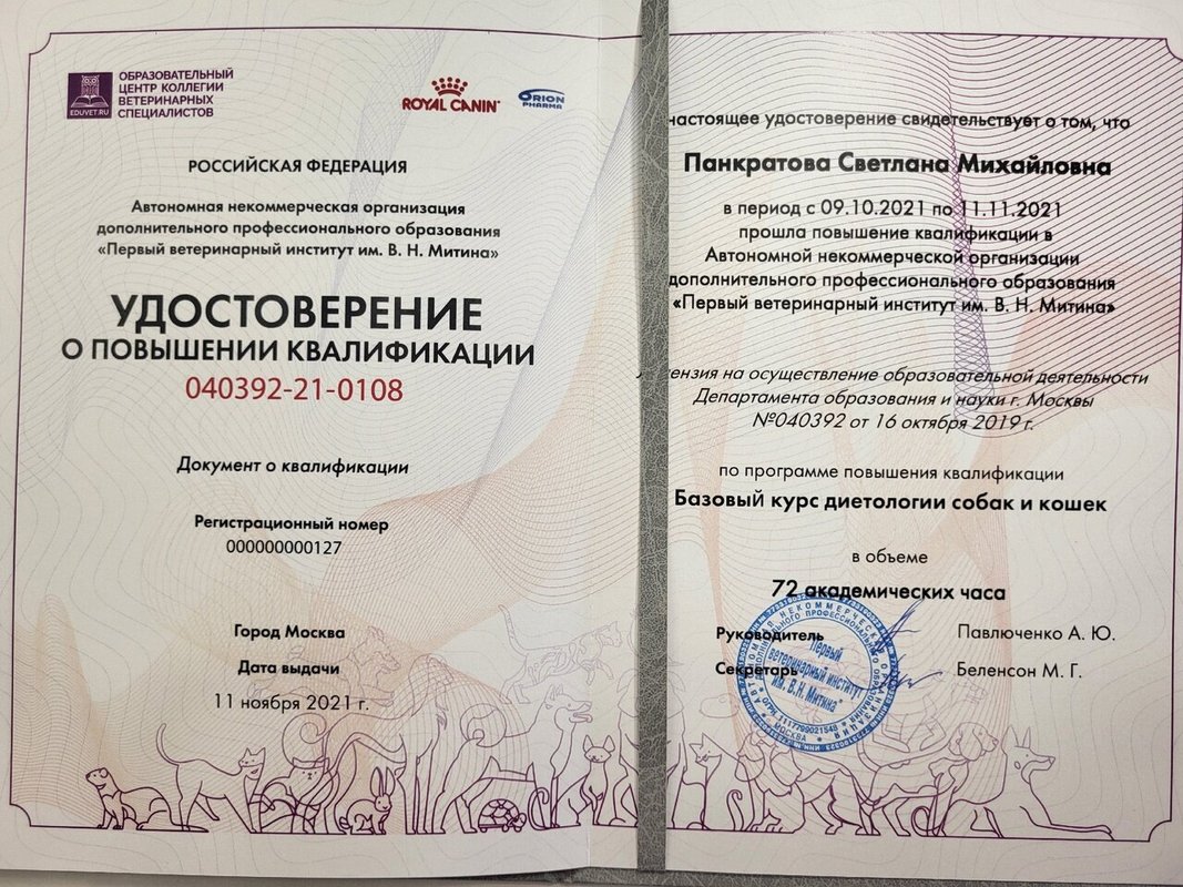 Документ или сертификат