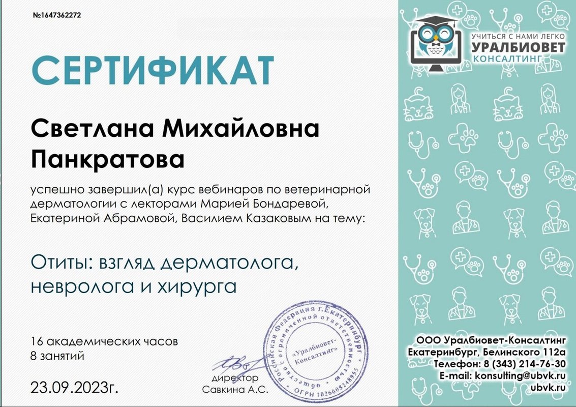 Документ или сертификат