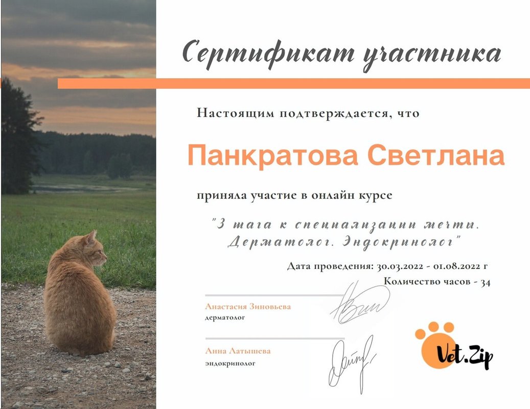 Документ или сертификат