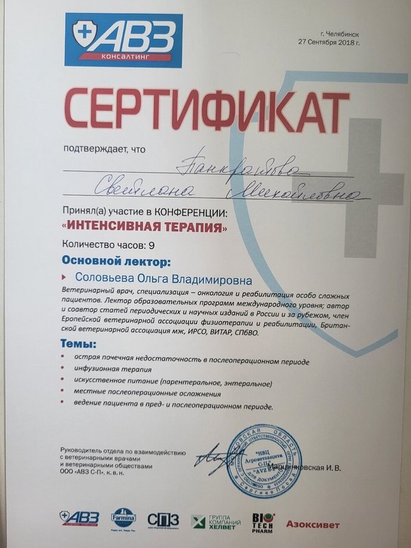 Документ или сертификат