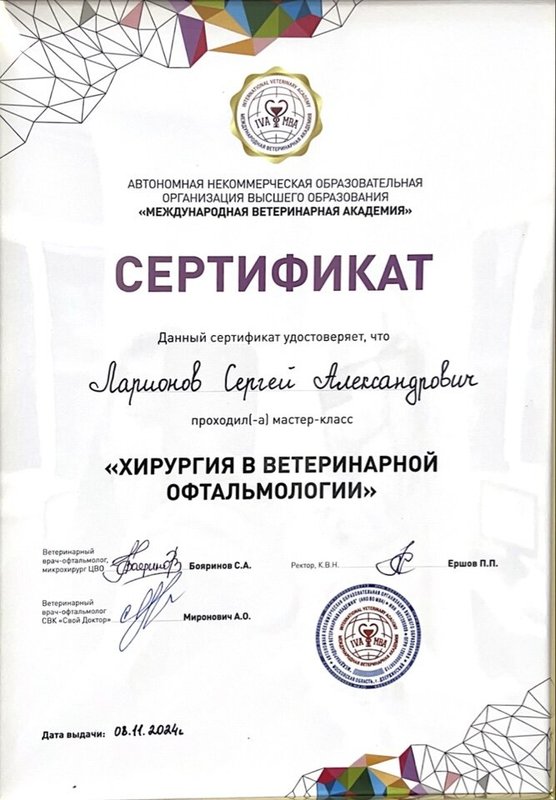 Документ или сертификат