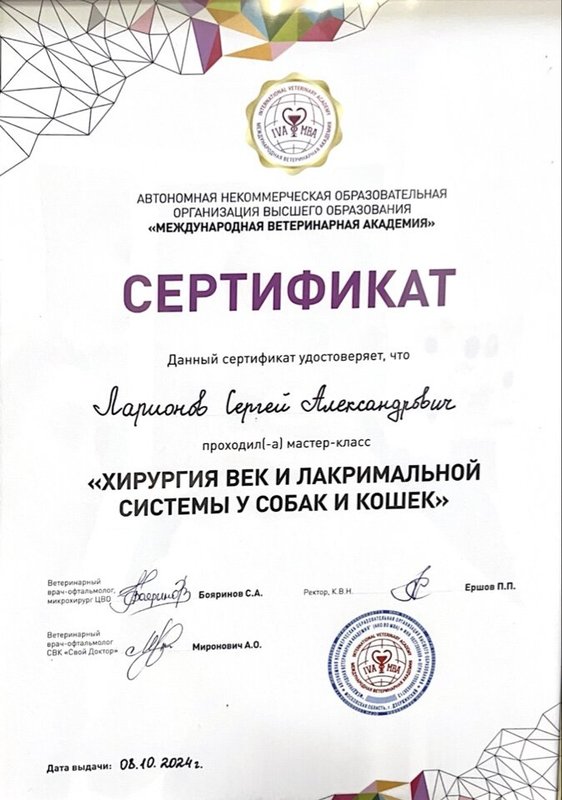 Документ или сертификат