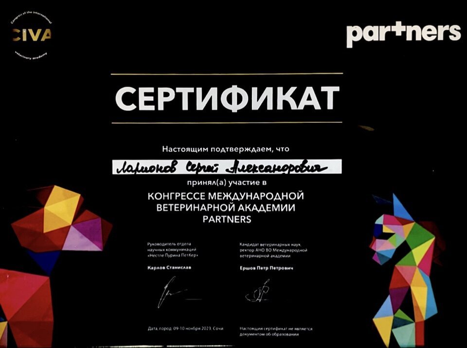Документ или сертификат