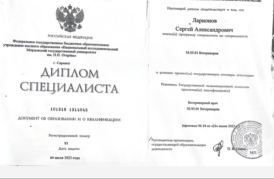 Документ или сертификат