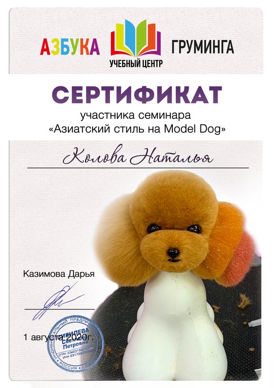 Документ или сертификат