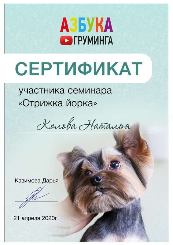 Документ или сертификат