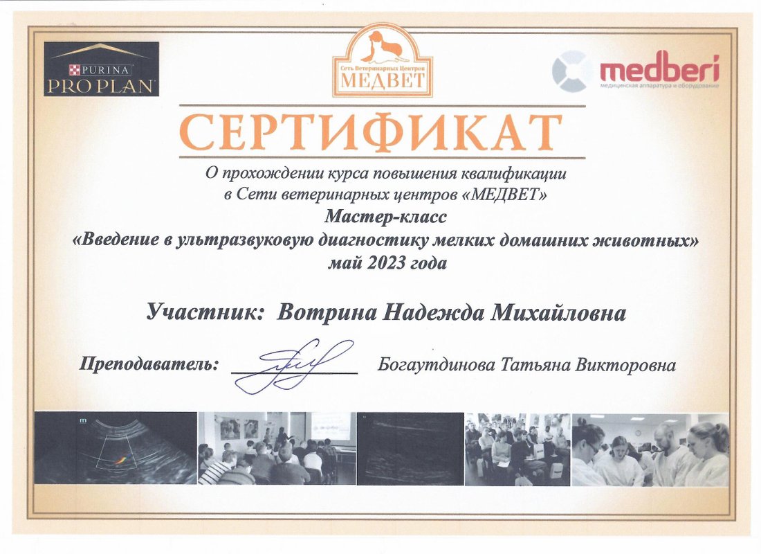 Документ или сертификат