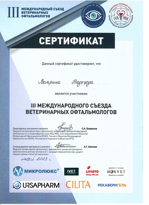 Документ или сертификат