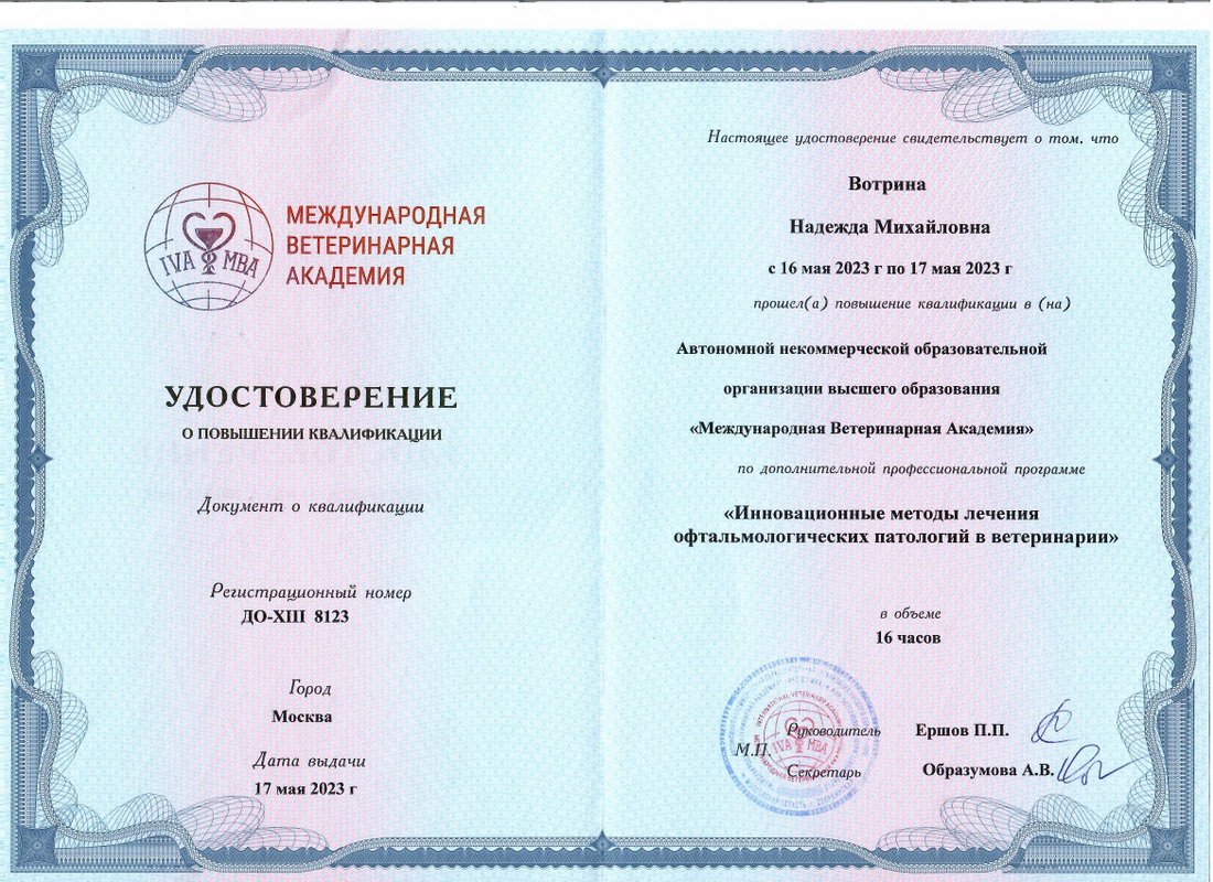 Документ или сертификат
