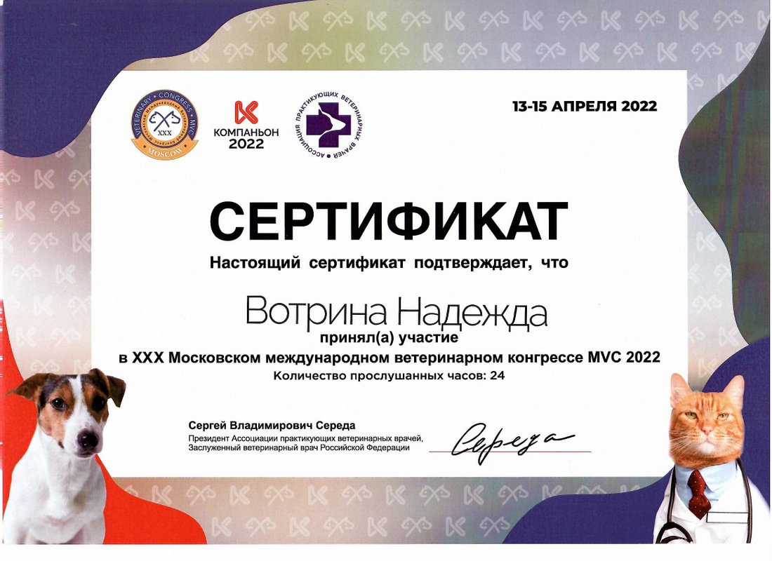 Документ или сертификат