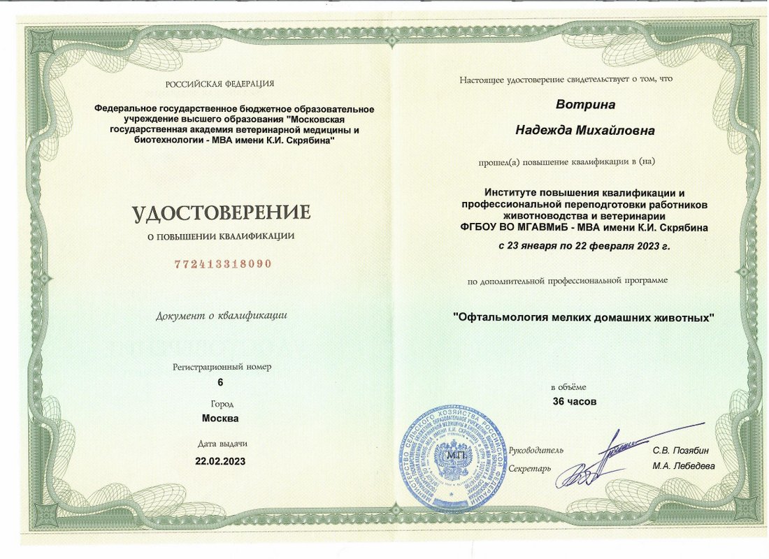 Документ или сертификат