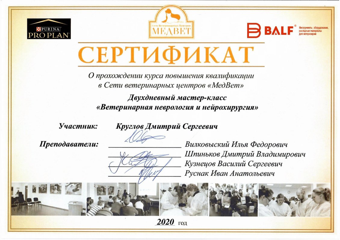 Документ или сертификат