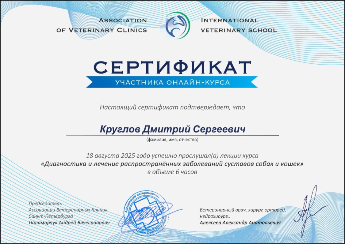 Документ или сертификат