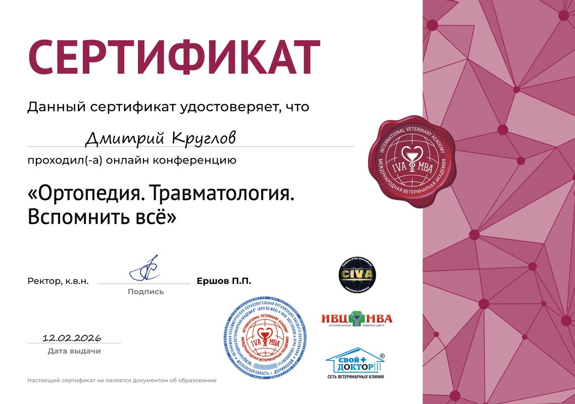 Документ или сертификат