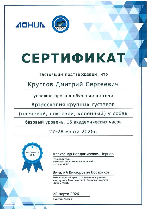 Документ или сертификат