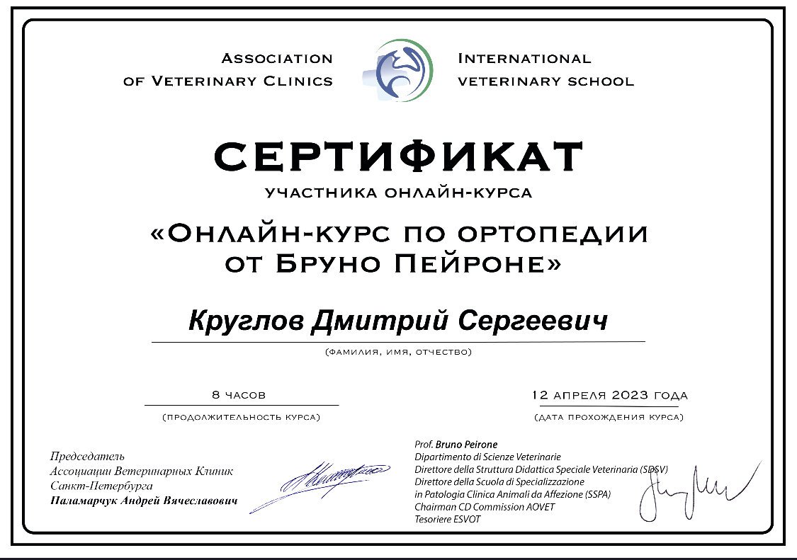 Документ или сертификат