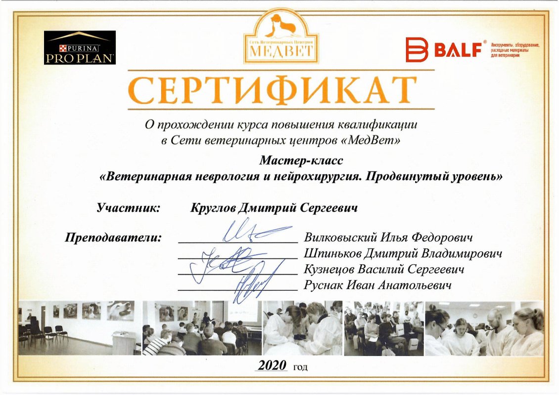 Документ или сертификат