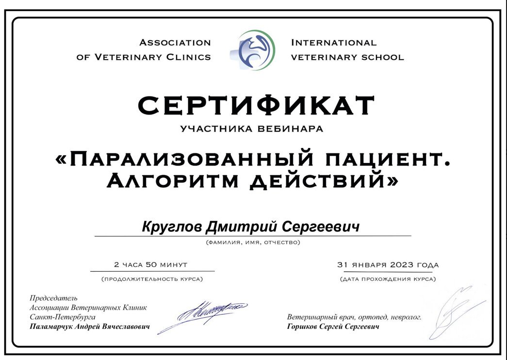 Документ или сертификат