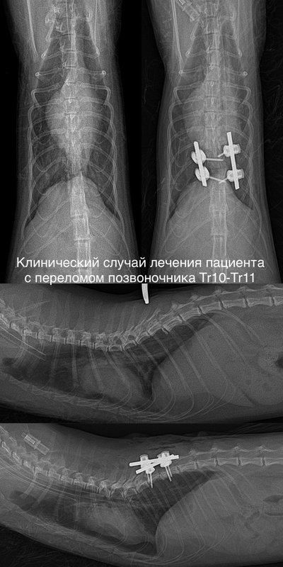 Фото врача