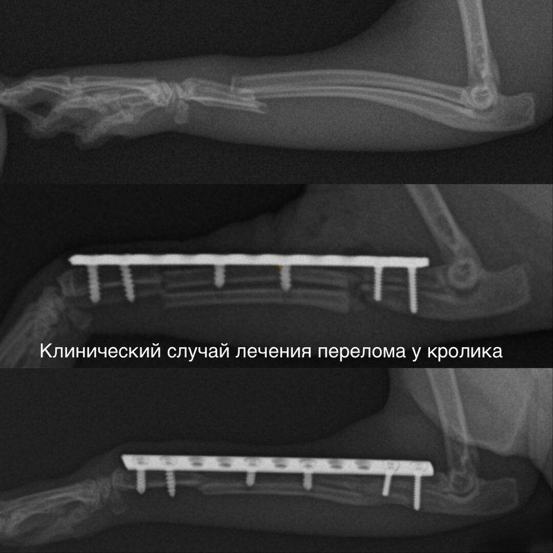 Фото врача