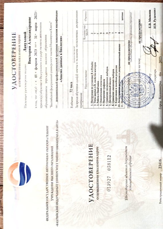 Документ или сертификат