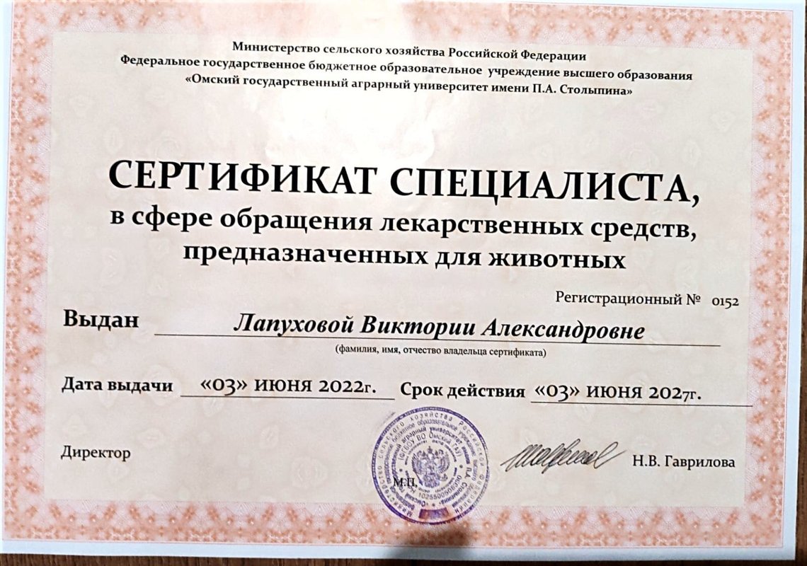 Документ или сертификат