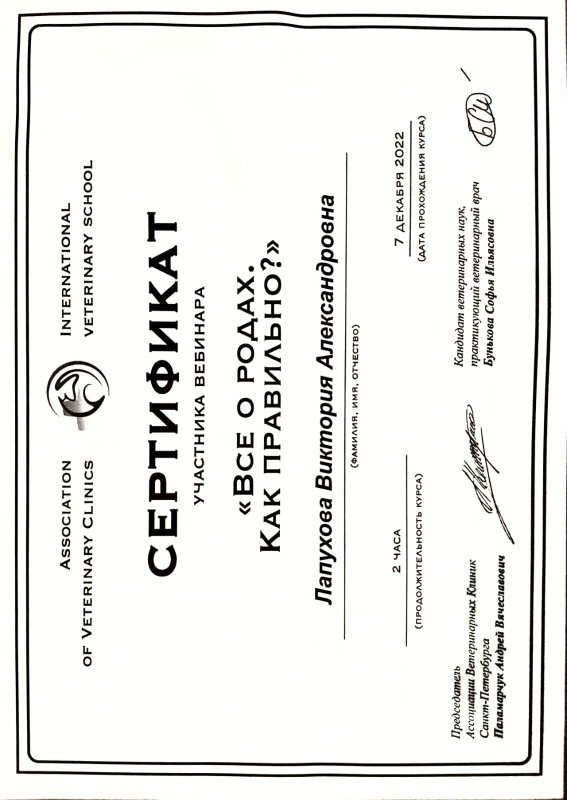 Документ или сертификат