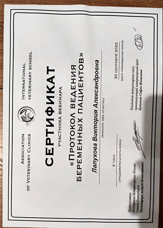Документ или сертификат