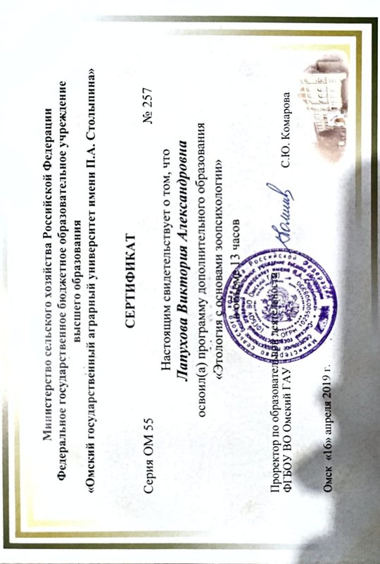Документ или сертификат