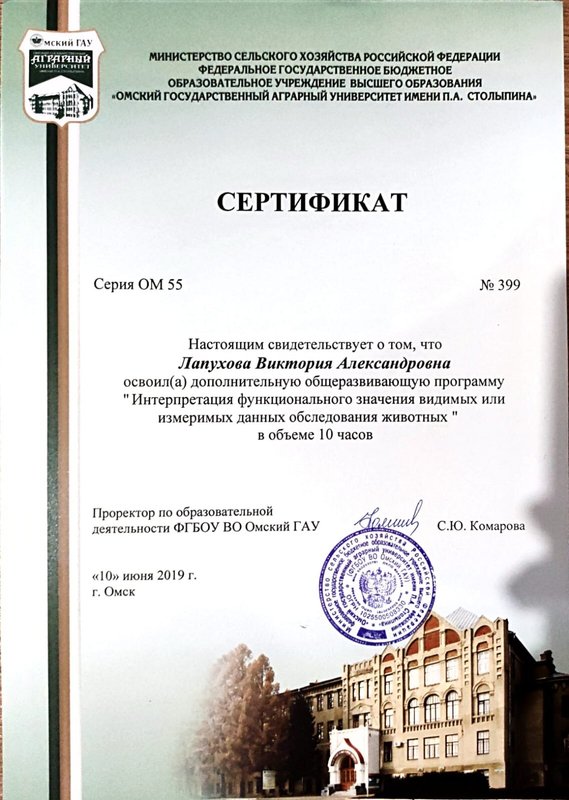 Документ или сертификат