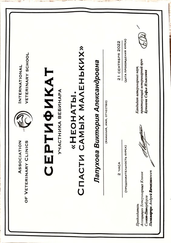 Документ или сертификат