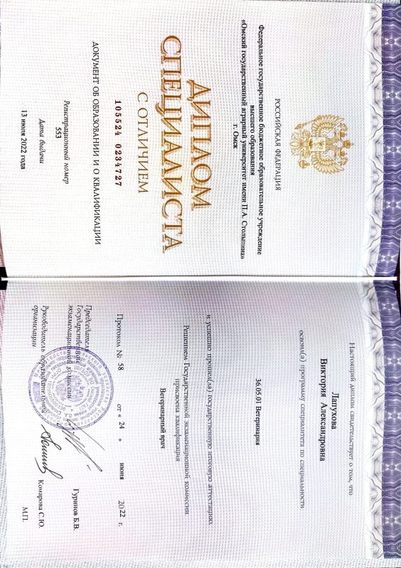 Документ или сертификат