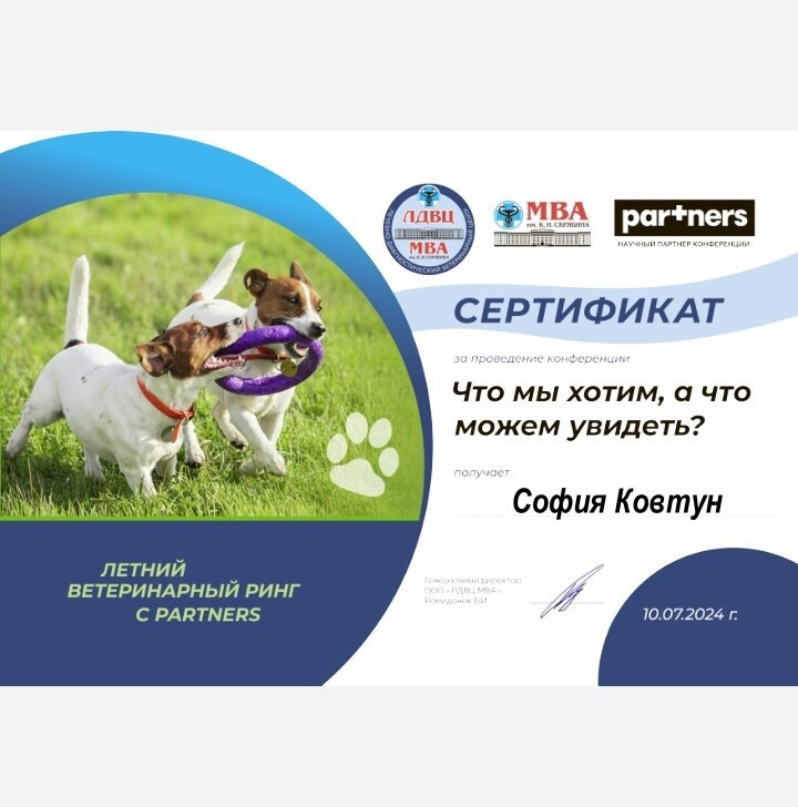 Документ или сертификат